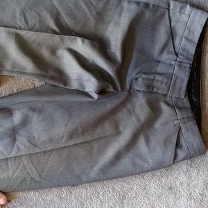 Express Dress Pant